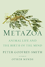Photo of Metazoa by Peter Godfrey-Smith